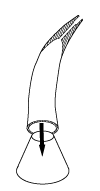 Krutthorn