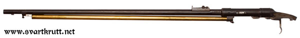 Barrel, magazine and trigger assembly.